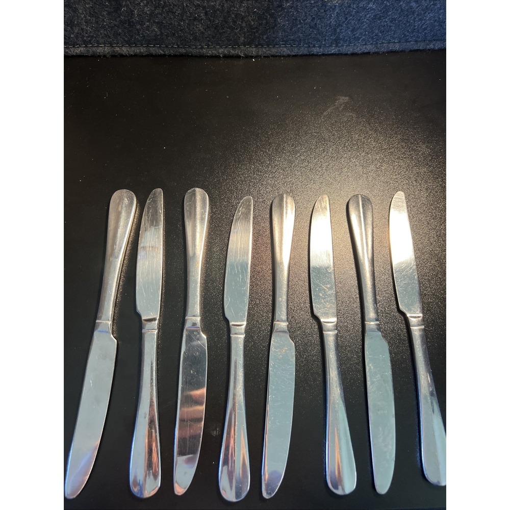 International Stainless Silverware - SIMPLICITY ‎ 8 Dinner Knives 9" Length